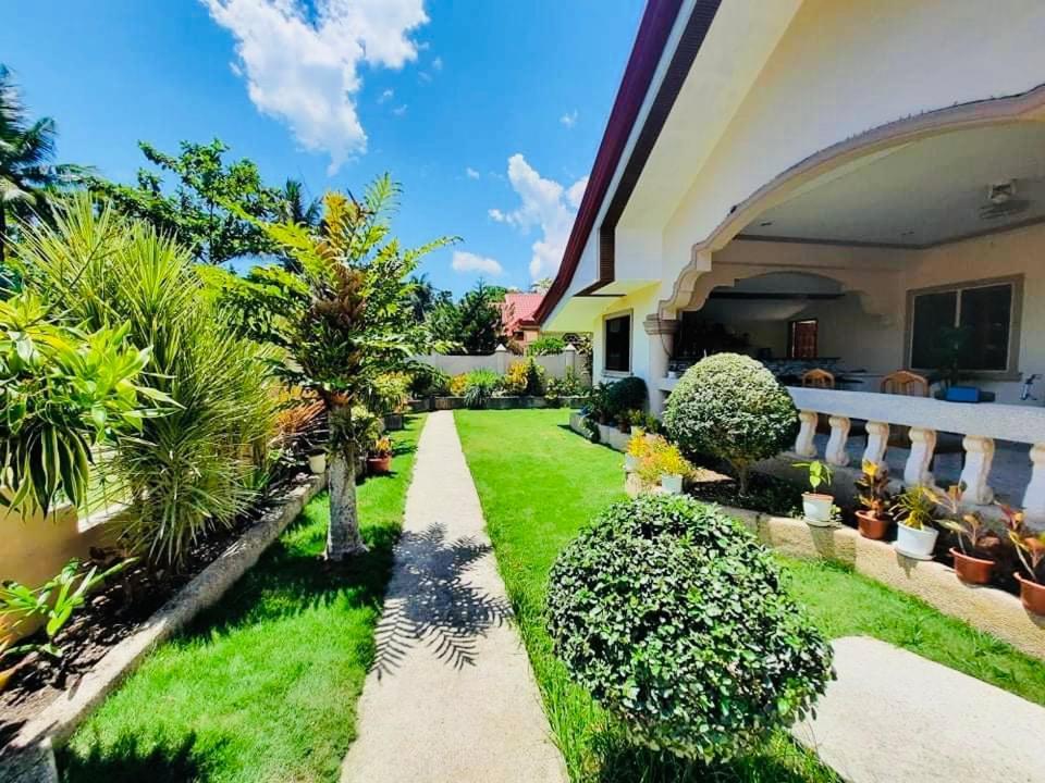 Dreamcatcher Hostel Moalboal Exterior foto